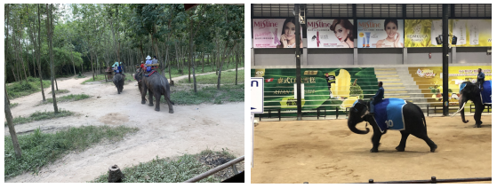 6371096548325166174197961.png 6371096548325166174197961.png